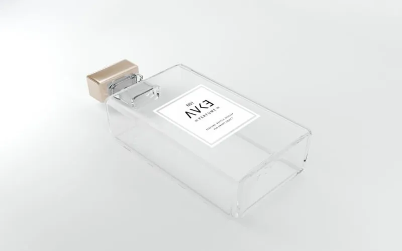 In The Box Altum Magnis