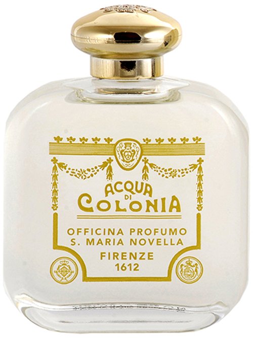 Santa Maria Novella Angeli Di Firenze