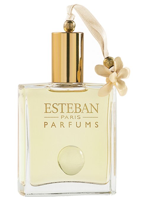 Esteban Angelic Flower