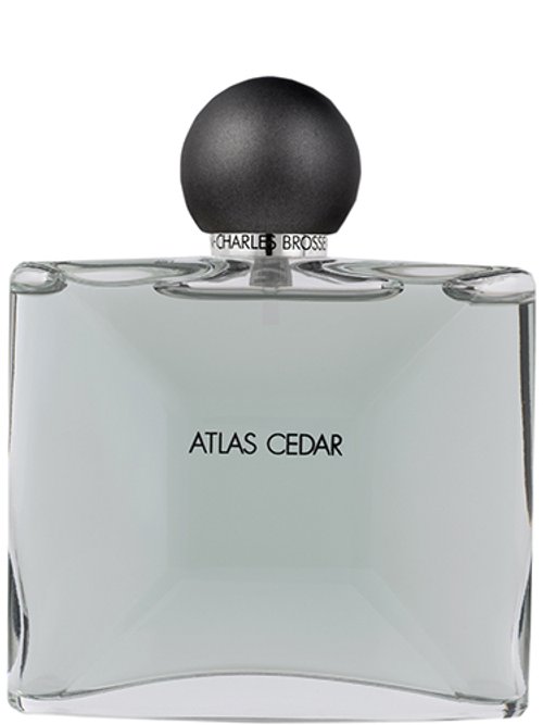 Jean Charles Brosseau Atlas Cedar