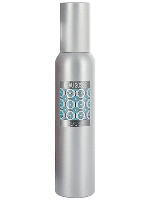 Fragonard Beau Gosse