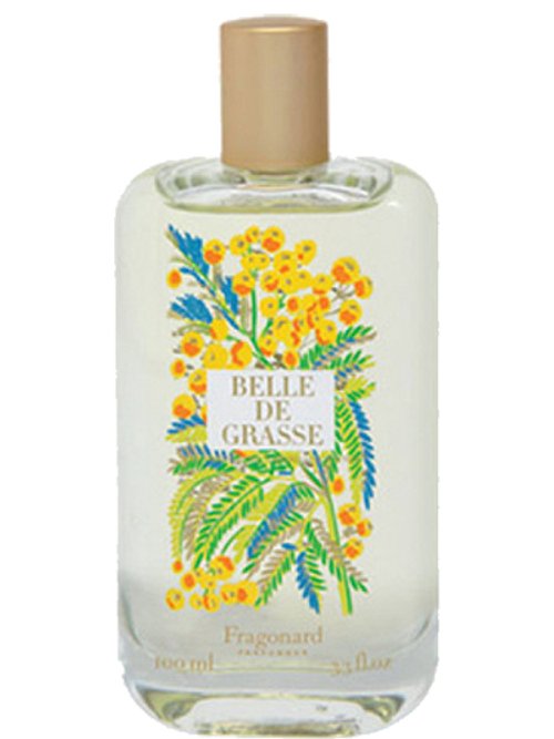 Fragonard Belle De Grasse