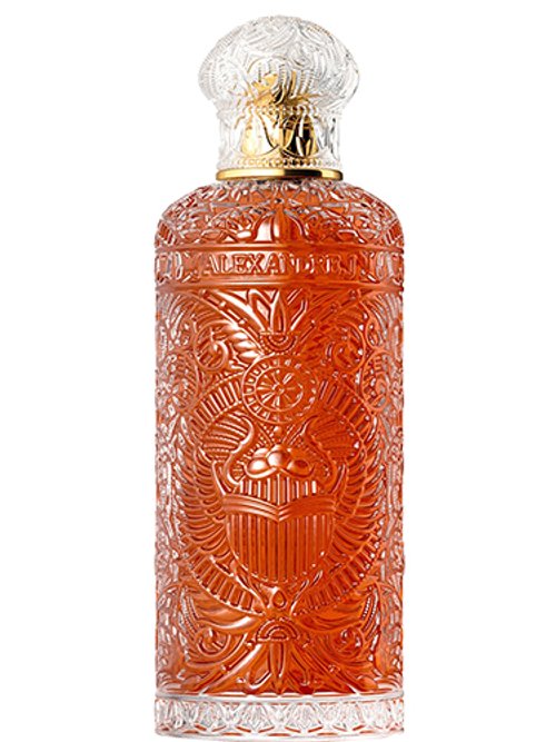 Alexandre J Black Beetle