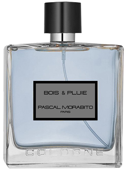 Pascal Morabito Bois Pluie