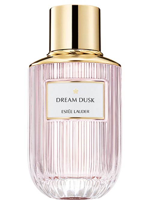 Estée Lauder Brasil Dream For Him