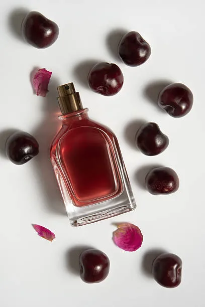 Miller Harris Brighton Rock