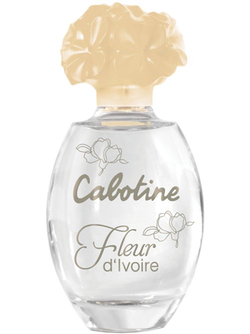 Grès Cabotine Fleur D Ivoire