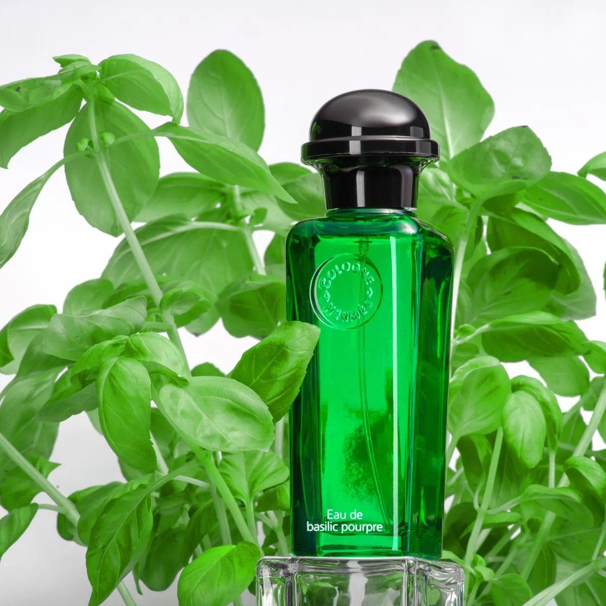 Hermès Eau De Basilic Pourpre