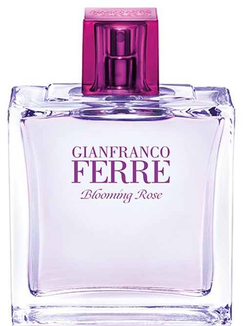 Gianfranco Ferré Rose