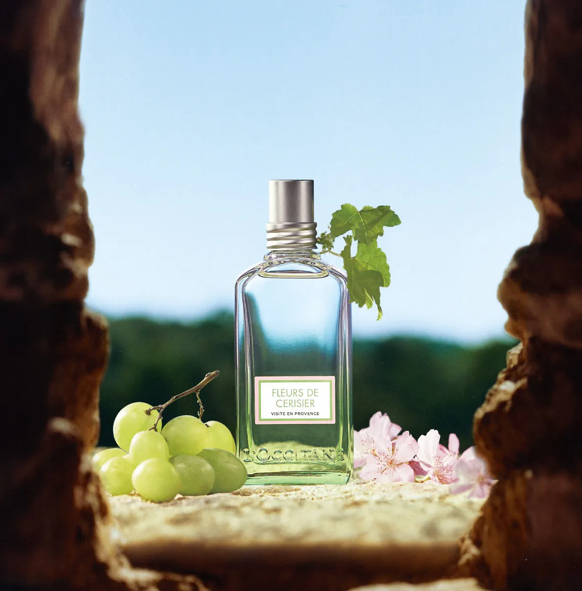 L'occitane En Provence Fleur Cherie