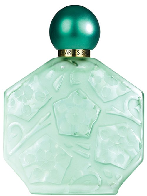 Jean Charles Brosseau Fleurs D'ombre Jasmin Lilas