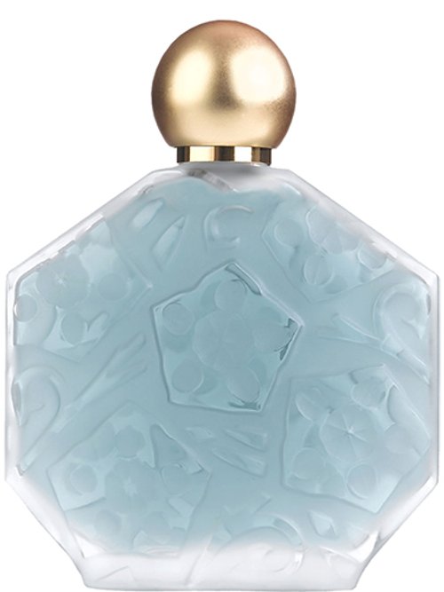 Jean Charles Brosseau Fleurs D Ombre Ombre Bleue