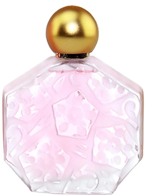 Jean Charles Brosseau Fleurs D Ombre Rose