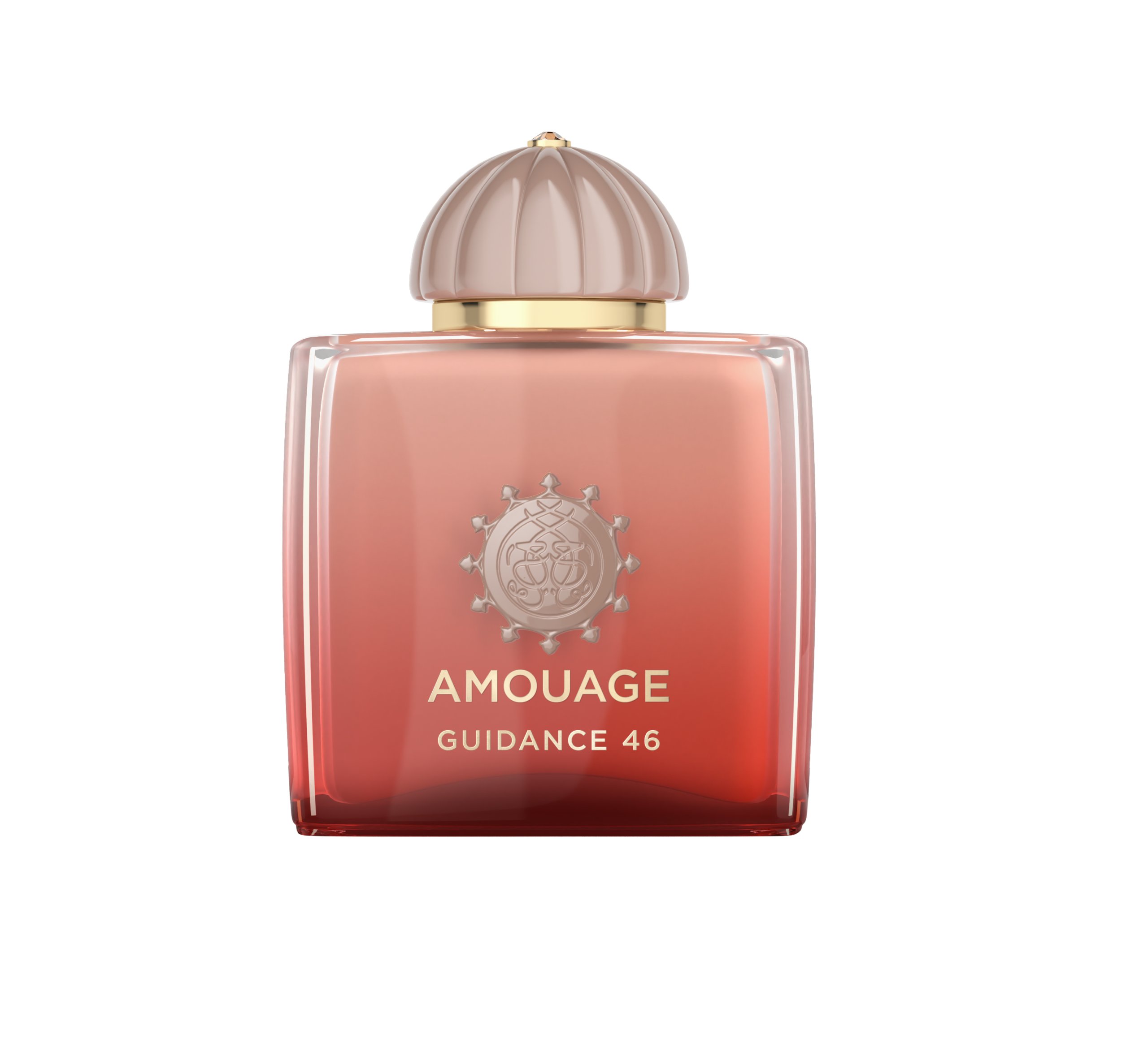 Amouage Guidance