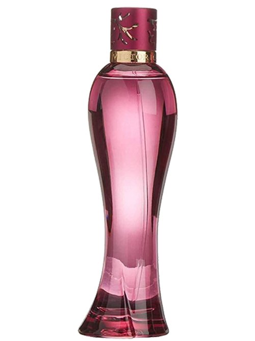 Victorio & Lucchino Hechizo