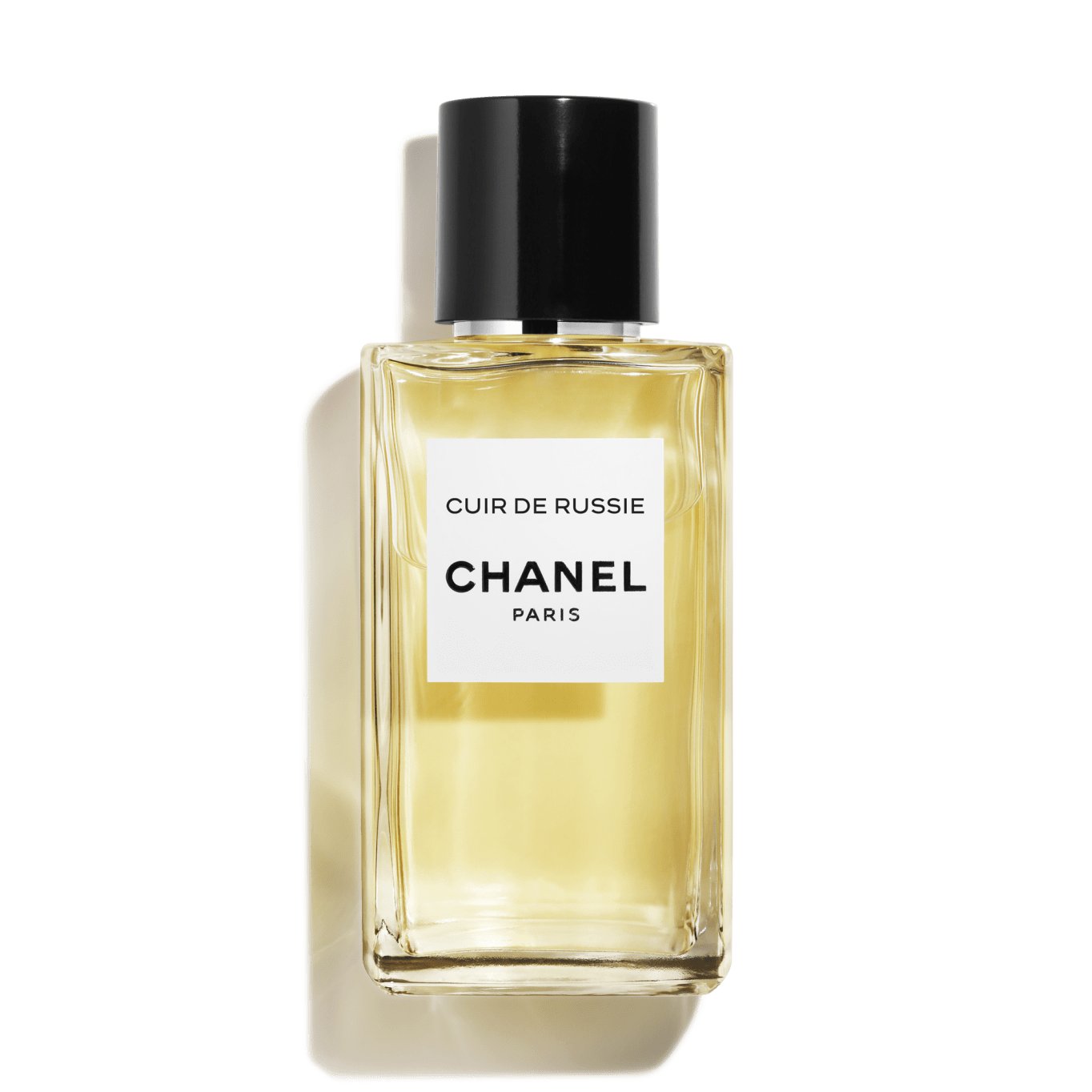 Chanel Les Exclusifs De Chanel Cuir De Russie