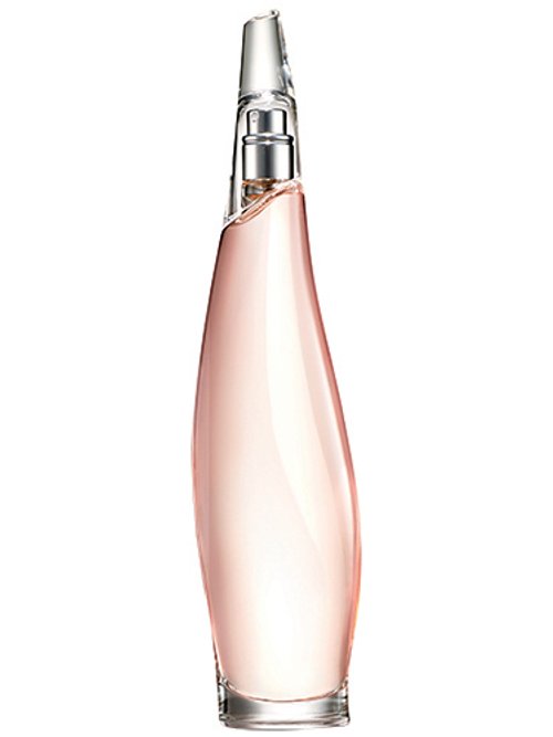 Donna Karan Liquid Cashmere