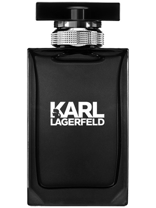 Karl Lagerfeld Liquid Karl