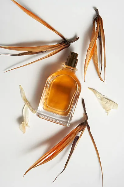 Roos Roos Mentha Religiosa