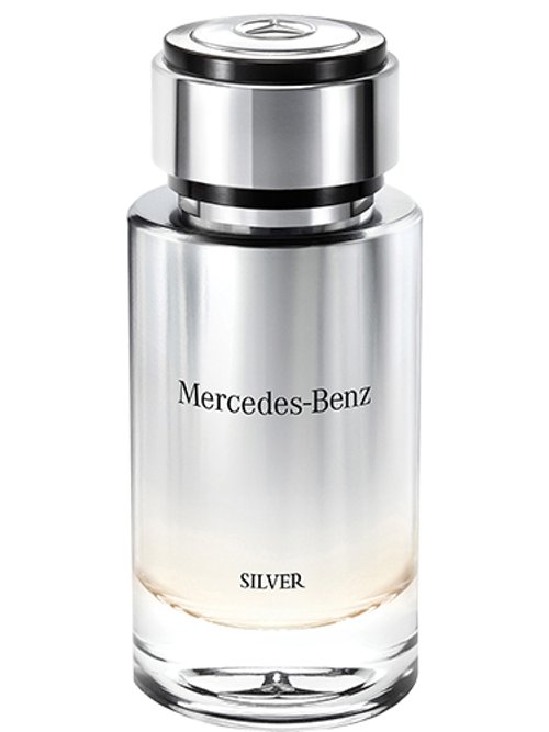 Mercedes Benz Silver