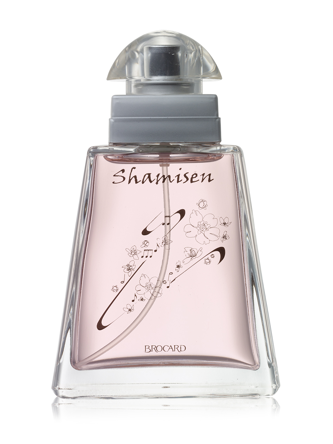 Brocard Shamisen
