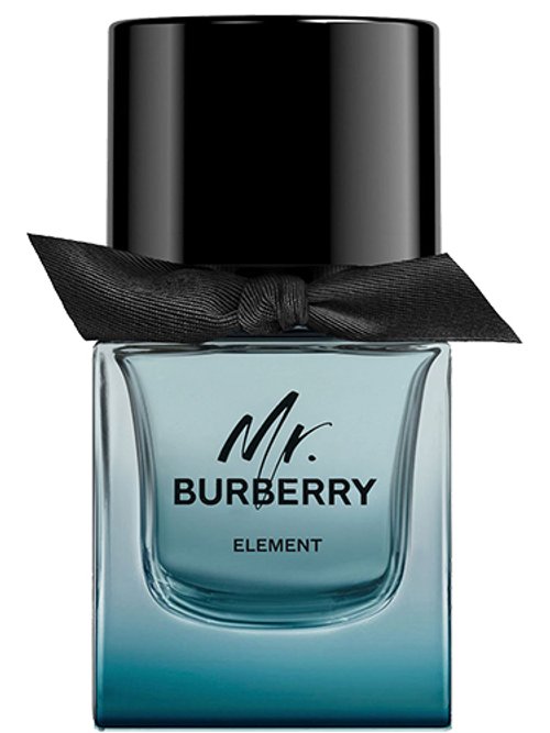 Burberry Mr Burberry Element