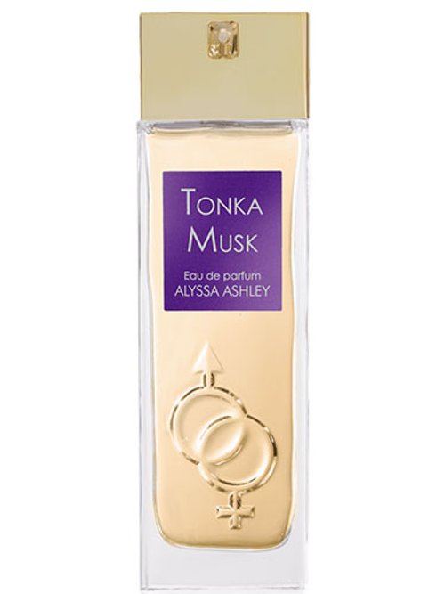 Alyssa Ashley Musk Perfume Oil