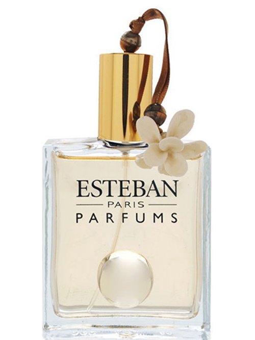 Esteban Oriental Flower