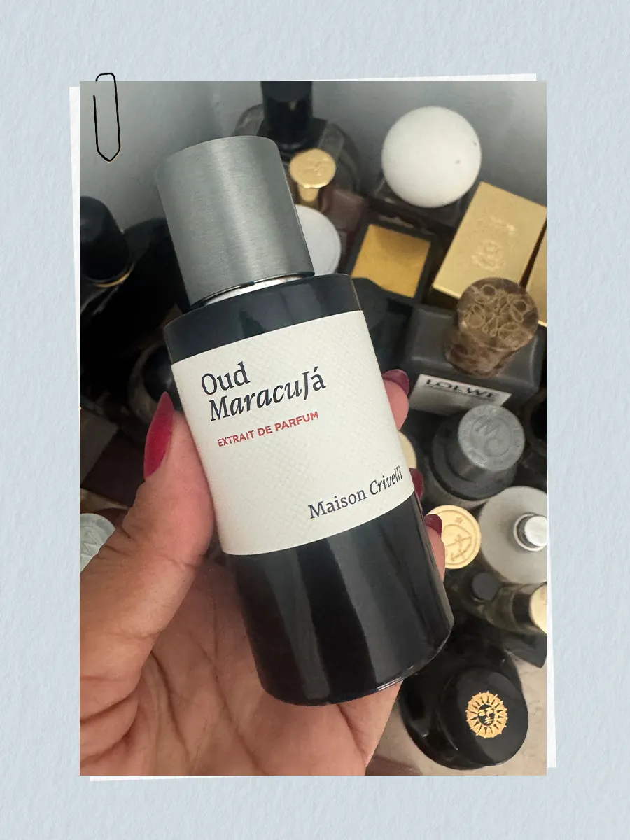 Maison Crivelli Oud Stallion