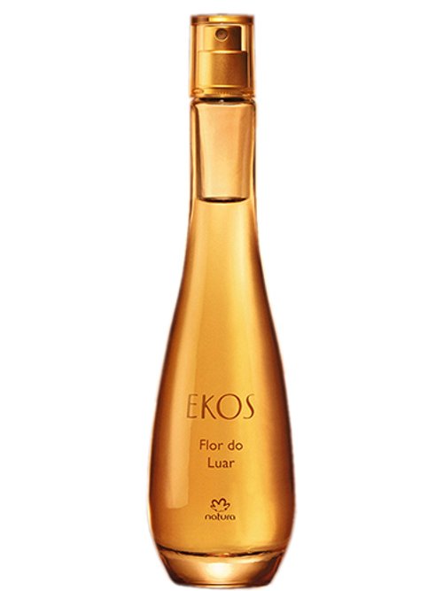 Natura Priprioca Parfum Perfume Do Brasil