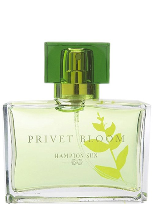 Nautica Pure Nautica Discovery