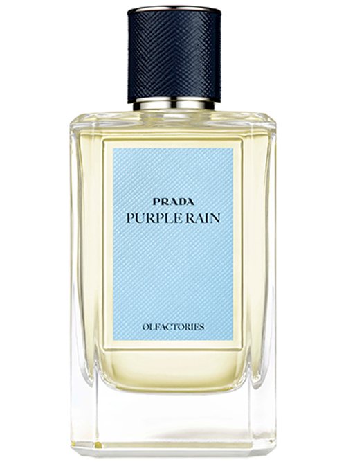 Prada Purple Rain
