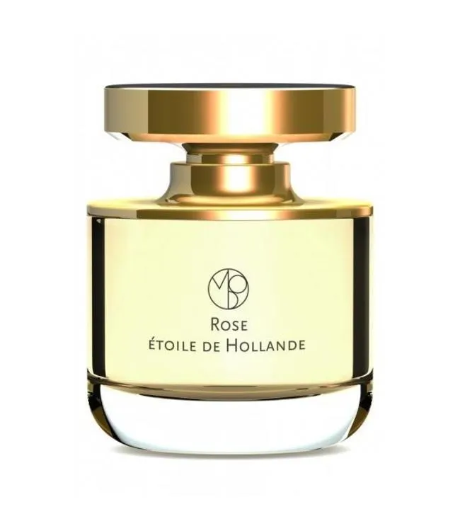 Mona Di Orio Rose Etoile De Hollande