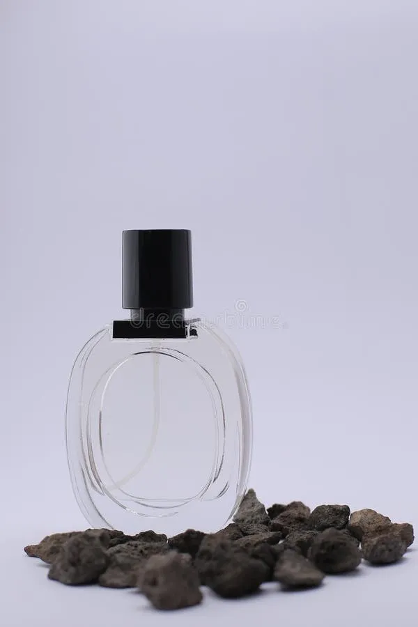 Sapientiae Niche S S Maritima