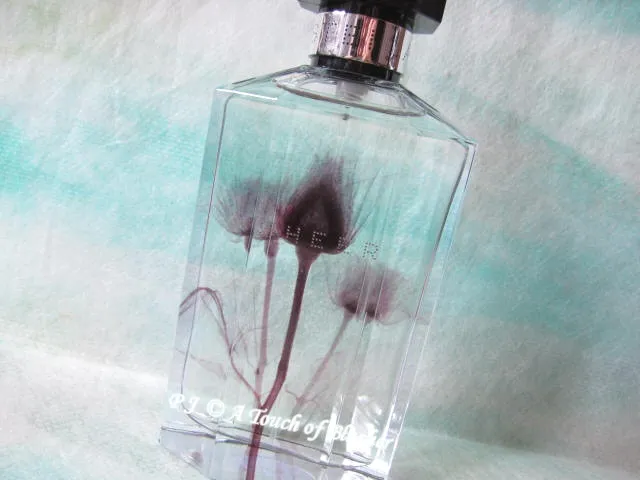 Stella Mccartney Sheer Stella 2011