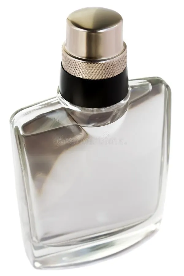 Roccobarocco Silver Jeans