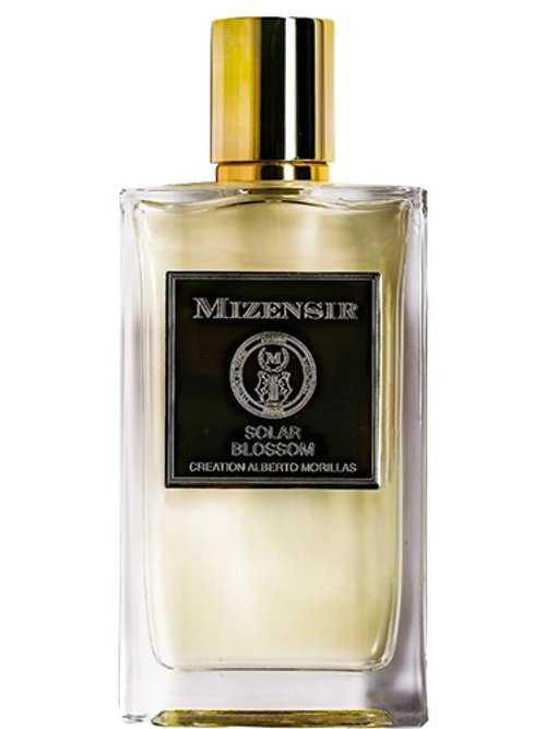 Mizensir Solar Blossom