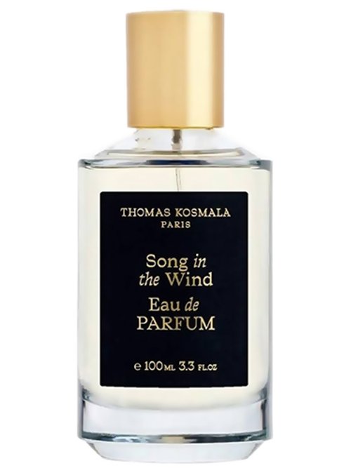 Thomas Kosmala Song In The Wind