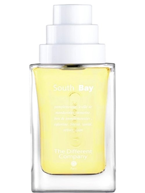 The Different Company South Bay