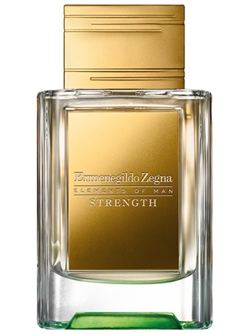 Ermenegildo Zegna Strength