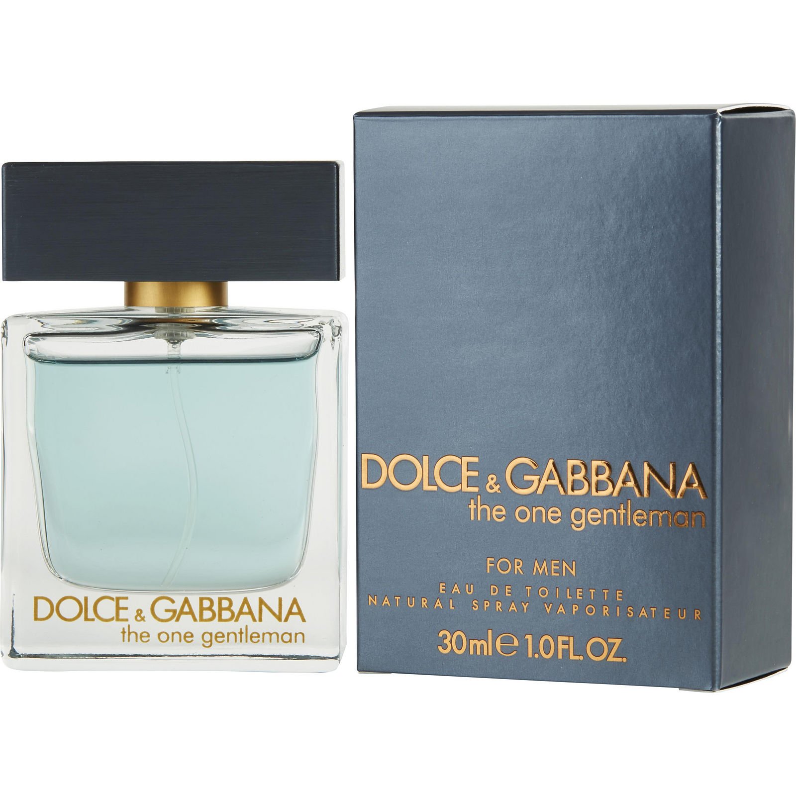 Dolce & Gabbana The One Gentleman