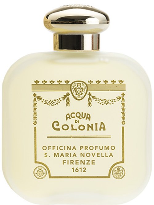 Santa Maria Novella Tuberosa
