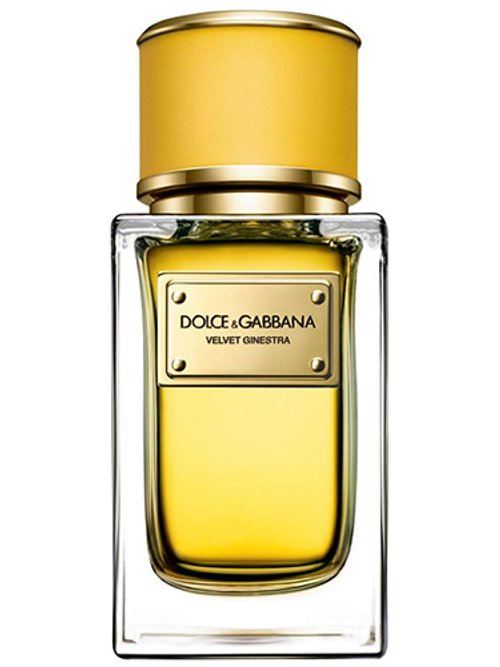 Dolce & Gabbana Velvet Ginestra