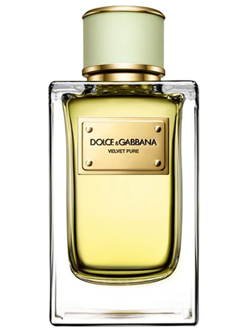 Dolce & Gabbana Velvet Pure