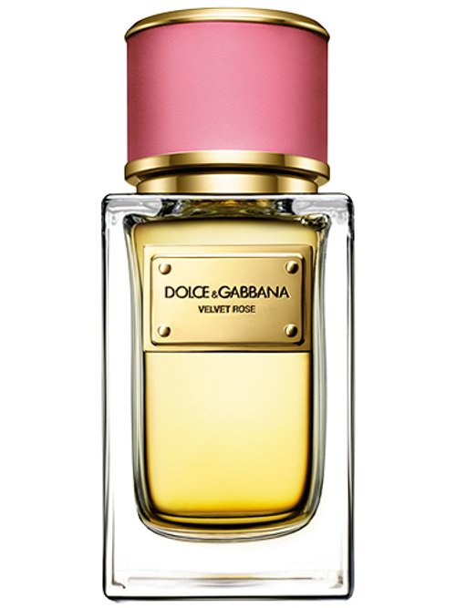Dolce & Gabbana Velvet Rose