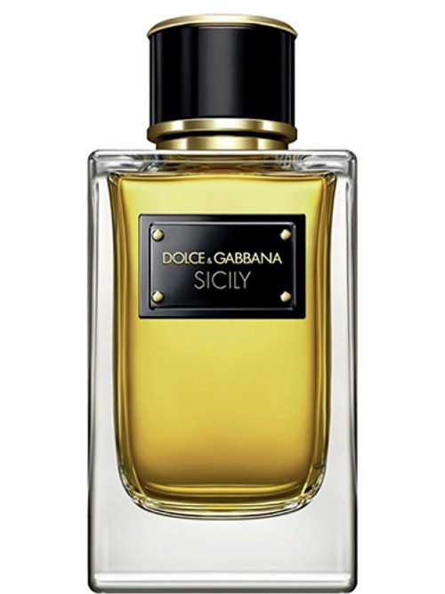 Dolce & Gabbana Velvet Sicily
