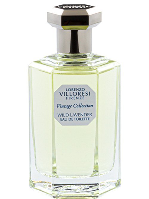 Lorenzo Villoresi Wild Lavender