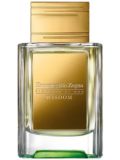 Ermenegildo Zegna Wisdom